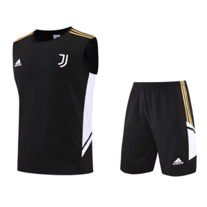 Conjunto de Entrenamiento Juventus