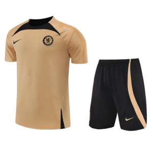 Conjunto de Entrenamiento Chelsea