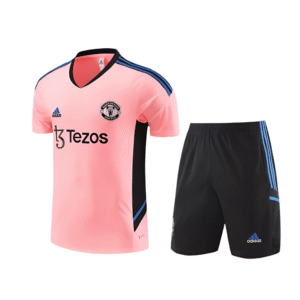 Conjunto de Entrenamiento Manchester United