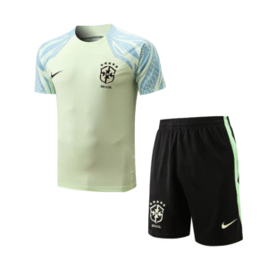 Conjunto de Entrenamiento Selección de Brasil