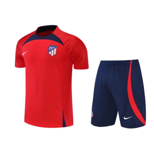 Conjunto de Entrenamiento Atlético de Madrid