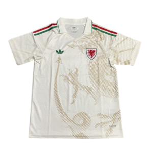 Selección de Galés camiseta Copa del Mundo 2026